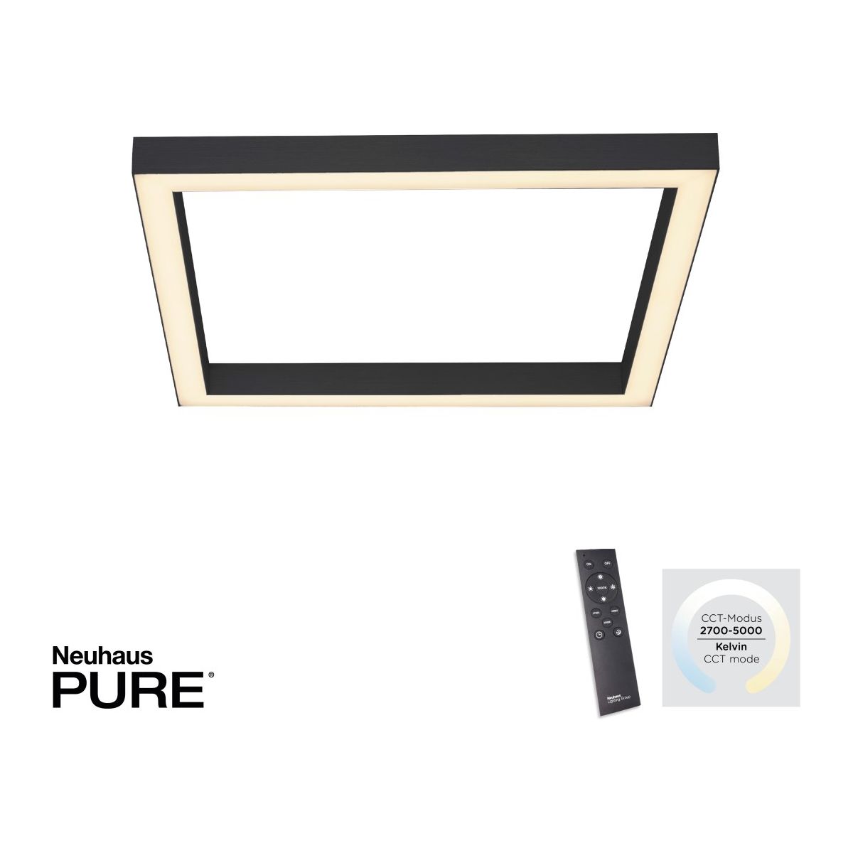 Paul Neuhaus-PURE-LINES-6022-13-PLN6022-13