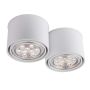Antigo Miki 7019 Aufbau-Downlight 2x15W/Gu10 IP20