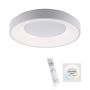 Paul Neuhaus ANIKA 14326-16 Deckenleuchte 1x26,5W/LED CCT 2700K-5000K 1900LM IP20