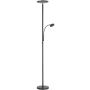 Paul Neuhaus HANS 11709-18 Stehleuchte 2x31,5W/LED 3000k 2500/400lm ip20