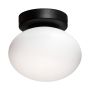 Zuma Line OMI 1188 Lampe de plafond 1x5W/G9 IP20