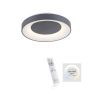 Paul Neuhaus ANIKA 14326-18 Deckenleuchte 1x26,5W/LED 5000K 1450LM IP20