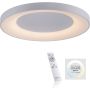 Paul Neuhaus ANIKA 14327-16 Deckenleuchte 1x60W/LED 2700-5000k 6600lm ip20