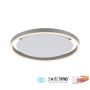 Paul Neuhaus RITUS 15391-95 Deckenleuchte 1x20W/LED 3000K 900LM IP20