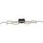 Paul Neuhaus WAVE 15166-18 Deckenlampe 1x32W/LED 3000k 3920lm ip20
