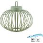 Paul Neuhaus AKUBA 19304-43 Lampe de table 1x1,5W/LED 2700k 130lm ip44