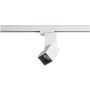 AZzardo SANTOS SQUARE TRACK AZ3524 Schienenstrahler 1x12W/LED 3000K 1020LM IP20