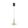 Paul Neuhaus PURE VITRUM 2053-34 Pendelleuchte 2x10W/LED 2700K 530lm IP20