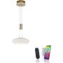 Paul Neuhaus Q-ETIENNE 2075-60 Pendelleuchte 2x38,5W/LED 2700-5000k 4350lm ip20