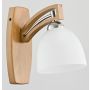 Alfa MAGNAT 21380 Applique murale 1x15W/E27