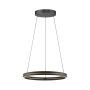 Paul Neuhaus PURE E-LOOP 2551-18 Suspension 2x22W/LED 2700K-5000K 1600lm IP20