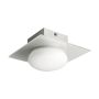 Prezent CUSCO 25098 Plafonnier 1x33W/G9 IP44