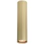 Italux Rilok CLN-83920-L-GD Spot en saillie 1x10W/GU10 IP20