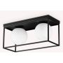 Ideal Lux LINGOTTO 304137 Lampe de plafond 2x28W/E14 ip20