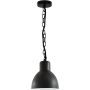 Polux ARNE 311924 Pendelleuchte 1x10W/E27 IP44