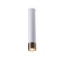 Antigo Eido 8251 Spot en saillie 1x10W/GU10 IP20