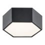 Argon ARIZONA 3824 Deckenleuchte 1x9W/LED 3000K 1150LM IP20