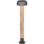 Trio FRASER 462560135 Lampe sur pied 1x10w/e27 ip54