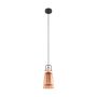Eglo FRAMPTON 49153 Suspension 1x60W/E27 IP20