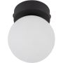 TK Lighting MINI 5613 Deckenleuchte 1x6W/G9 IP20