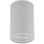 TK Lighting TOP 5766 Aufbau-Downlight 1x10W/GU10 IP20