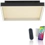 Paul Neuhaus Q-MAGONG 6316-18 Deckenlampe 1x40W/LED 2700-5000k 5700lm ip20