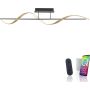Paul Neuhaus Q-SWING 6385-13 Lampe de plafond 1x28W/LED 2700-5000k 3100lm ip20