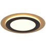Trio MORGAN 641519280 Deckenlampe 1x42w/led 2700-6500k 5600lm ip20