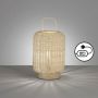Fischer&Honsel Nature 50738 Lampe de table 1x25W/E14 IP20