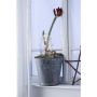 Markslojd GARDENER 703775 Décoration debout 1x0,32W/LED