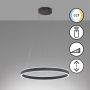 Fischer&Honsel Sirko 61048 Suspension 1x54W/LED 2700K 8500 lm IP20