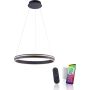 Paul Neuhaus Q-VITO 8411-13 Suspension lumineuse 1x44W/LED 2700-5000k 4550lm ip20