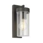 Endon HAYDEN 98439 Wandleuchte 15W/E27 IP44