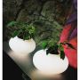 AZzardo FLORA AZ0185 Tischleuchte 3x60W/E27 IP20