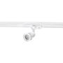 AZzardo JANE TRACK AZ2460 Schienenstrahler 1x50W/GU10 IP20