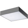 AZzardo MONZA II S 30 SMART WIFI AZ3265 Deckenleuchte 1x36W/LED 3000K 3060LM IP20
