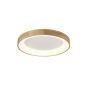 AZzardo SILVAM AZ2697 Deckenleuchte 1x30W/LED 1950LM