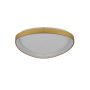Azzardo AMANDA AZ5770 Deckenleuchte 1x70W/LED 3000|4000|6000 IP20