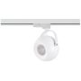 AZzardo GULIA AZ4709 Projecteur sur rail 1x50W/GU10 IP20