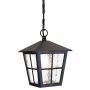 Elstead Lighting CANTERBURY BL48M-BLACK Pendelleuchte 1x60W/E27 IP43