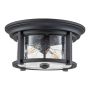 Feiss Merrill FE-MERRILL-F-BLK Plafonnier 2x60W/E27 IP44
