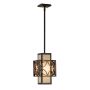 Feiss REMY FE-REMY-P-C Suspension 1x60W/E27