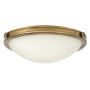 Hinkley Lighting COLLIER HK-COLLIER-F-M Deckenleuchte 3x60W/E27