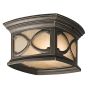 Kichler FRANCEASI KL-FRANCEASI-F Deckenleuchte 2x60W/E27 IP44