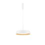 Luces Exclusivas CARACOLLO LE44813 Pendelleuchte 1x40W/led 3000k IP20 3111lm