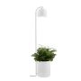 Kaspa BOTANICA XL 40848101 Lampadaire 1x9W/GU10 IP20