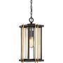 Quoizel GOLDENROD QZ-GOLDENROD8-M Suspension 1x60W/E27 IP23