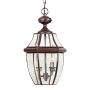 Quoizel NEWBURY QZ-NEWBURY8-L-AC Suspension 2x60W/E14 IP44