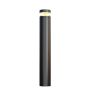 Maytoni Olten O591FL-L12GF3K1 Lampe sur pied 1x12W/LED 3000K 300lm IP65