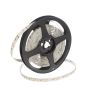 SMD LED HOMEline TAS4625SLL LED-Band 120x9,7W/m/LED 3000K 880 lm/m IP20